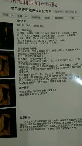 journal_insert_pic_781476417