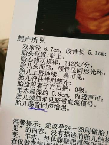journal_insert_pic_781527788