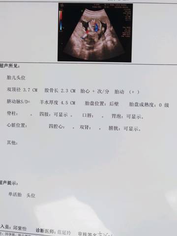journal_insert_pic_782249635