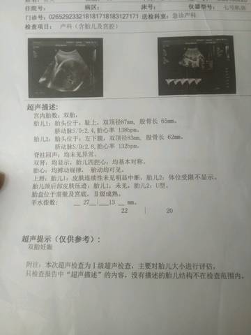 journal_insert_pic_782265353