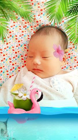 journal_insert_pic_783185451