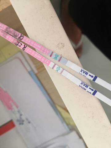 journal_insert_pic_783048097