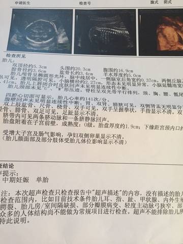 journal_insert_pic_784045247