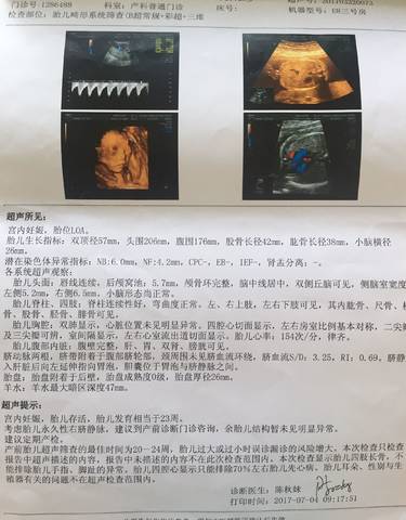 journal_insert_pic_785161414