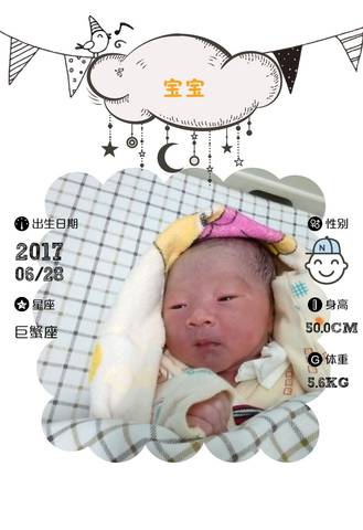 journal_insert_pic_784923470