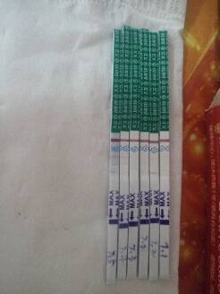 journal_insert_pic_784533211