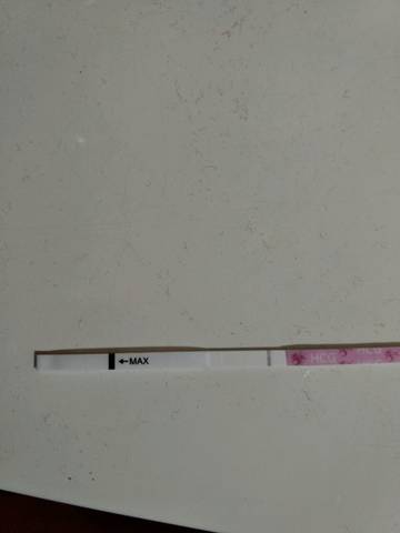 journal_insert_pic_785065126