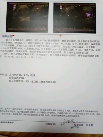 journal_insert_pic_785756344