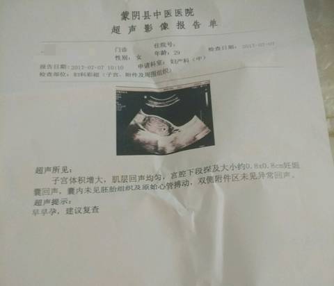 journal_insert_pic_786131373