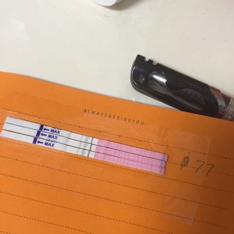 journal_insert_pic_786433351