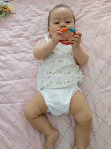 journal_insert_pic_786162874