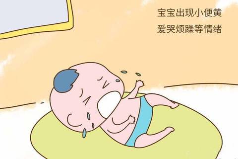宝宝不喝水怎麼办?5招让宝宝爱上喝水