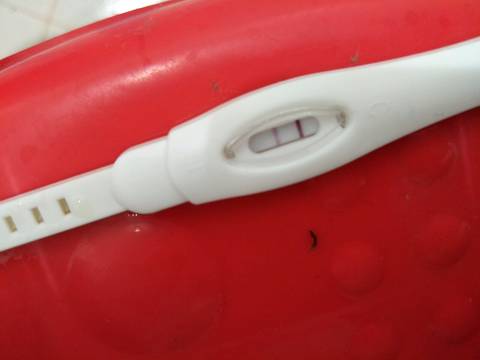 journal_insert_pic_786711372