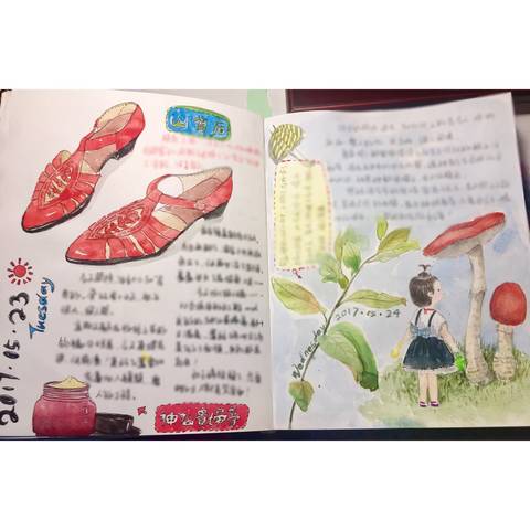 journal_insert_pic_788181415