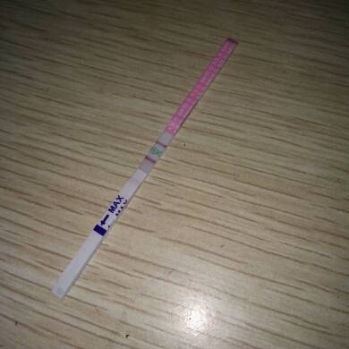 journal_insert_pic_788336387