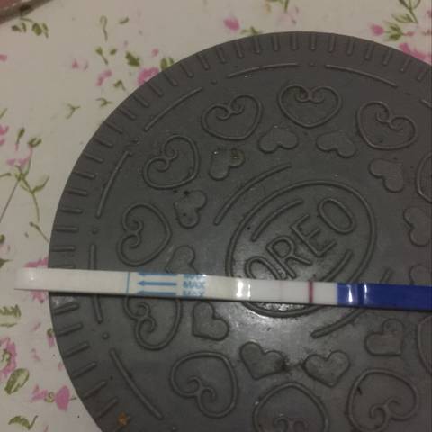 journal_insert_pic_788312981
