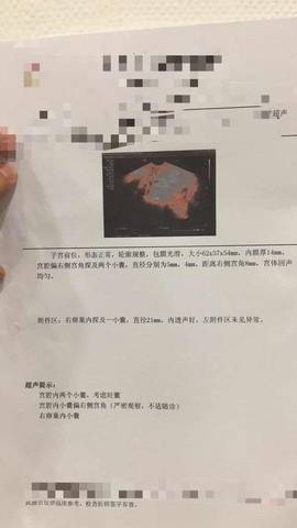 journal_insert_pic_788397316