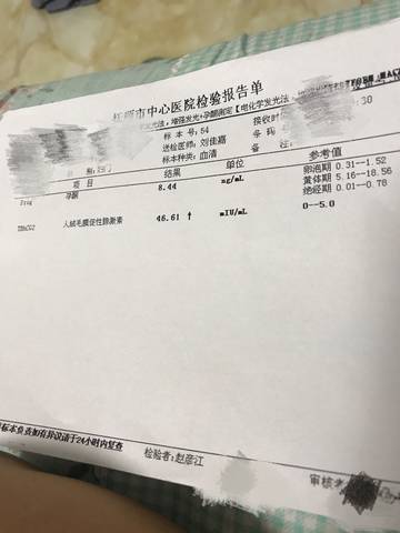 journal_insert_pic_788318279