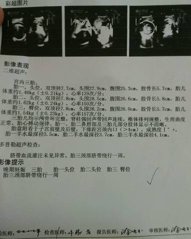 journal_insert_pic_788418192