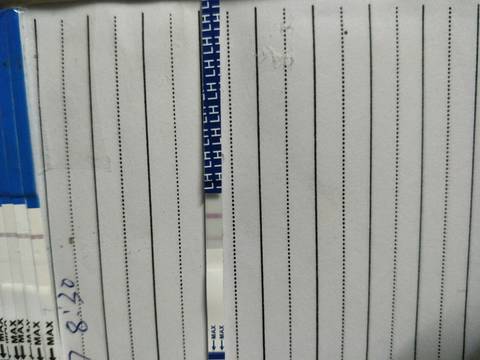 journal_insert_pic_789513903