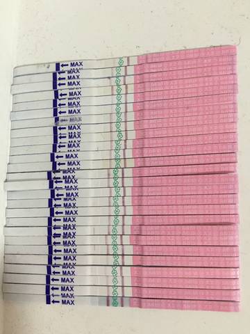 journal_insert_pic_789732469