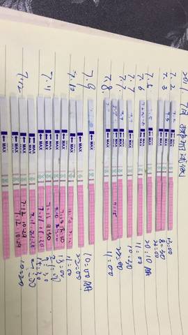 journal_insert_pic_790317966