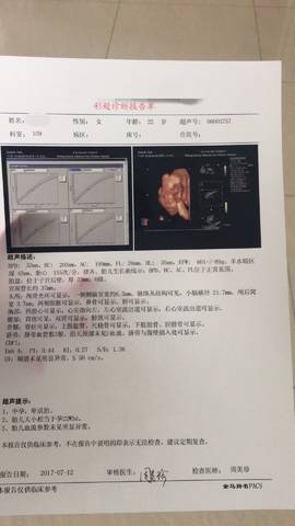 journal_insert_pic_790492931