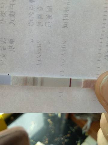 journal_insert_pic_791350782
