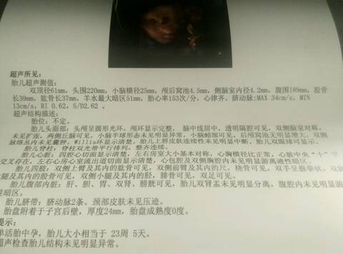 journal_insert_pic_791431298