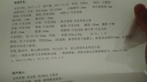 journal_insert_pic_792409900