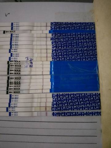 journal_insert_pic_793184958