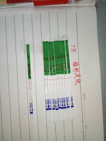 journal_insert_pic_793280517