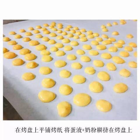 journal_insert_pic_793565333