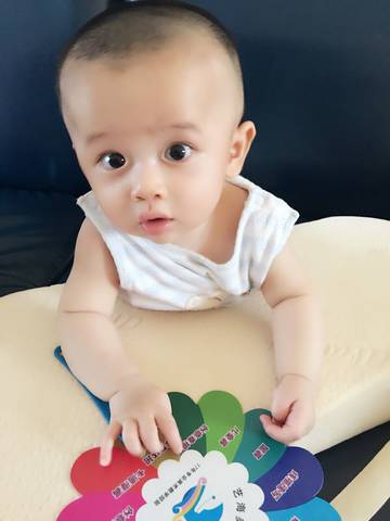 journal_insert_pic_793294585