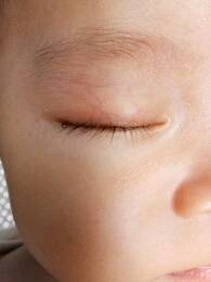 journal_insert_pic_793456571