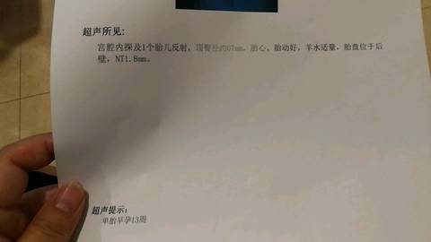 journal_insert_pic_794323653