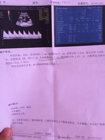 journal_insert_pic_794480035