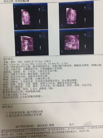 journal_insert_pic_795087346