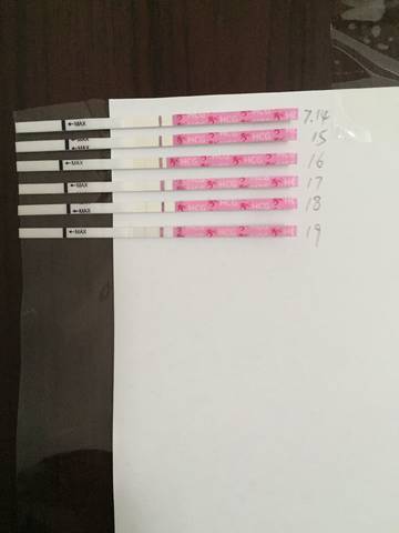 journal_insert_pic_794917706