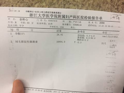 journal_insert_pic_795253066