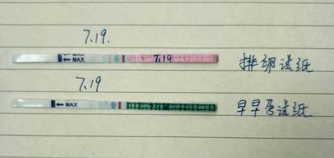 journal_insert_pic_794834581