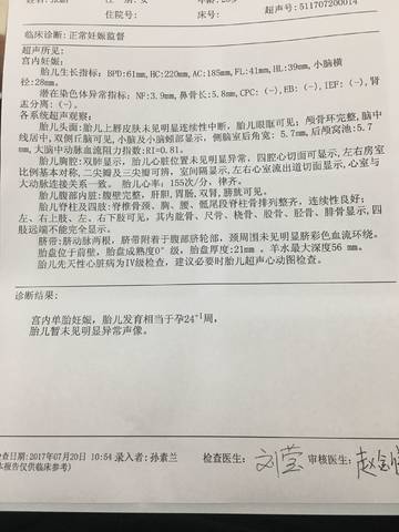 journal_insert_pic_795720742
