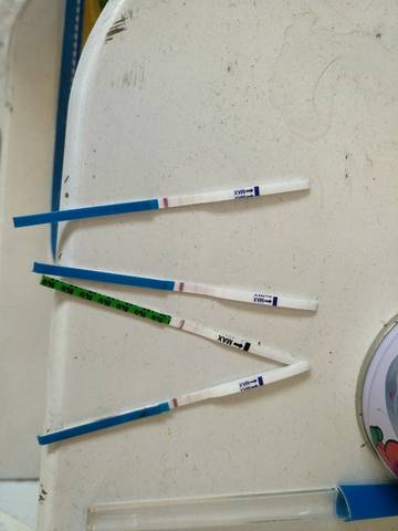 journal_insert_pic_796016470