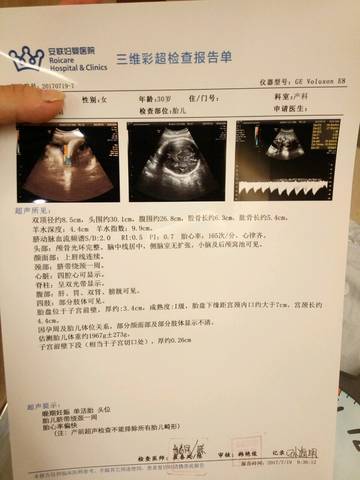 journal_insert_pic_795495368