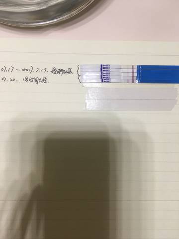journal_insert_pic_796143600