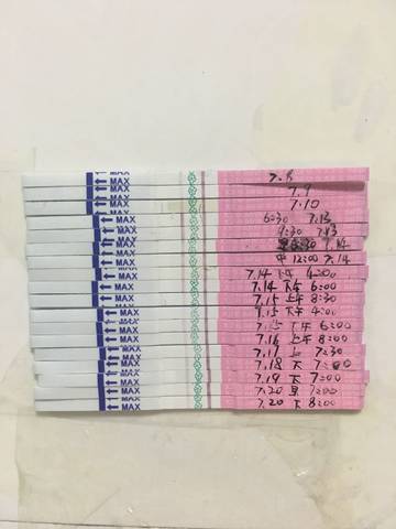 journal_insert_pic_796287470