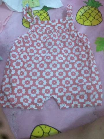 journal_insert_pic_796558530