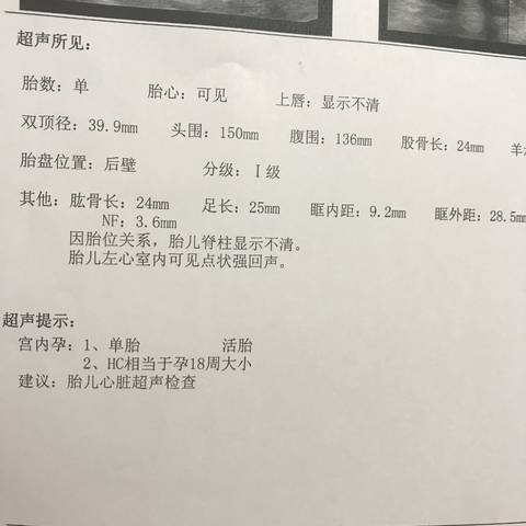 journal_insert_pic_797350598