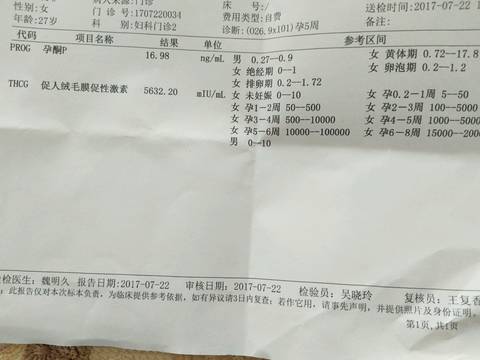 journal_insert_pic_797226224