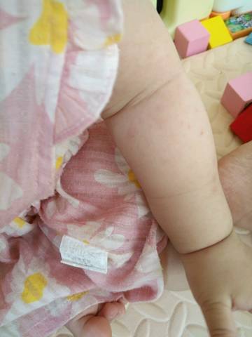 journal_insert_pic_798044078